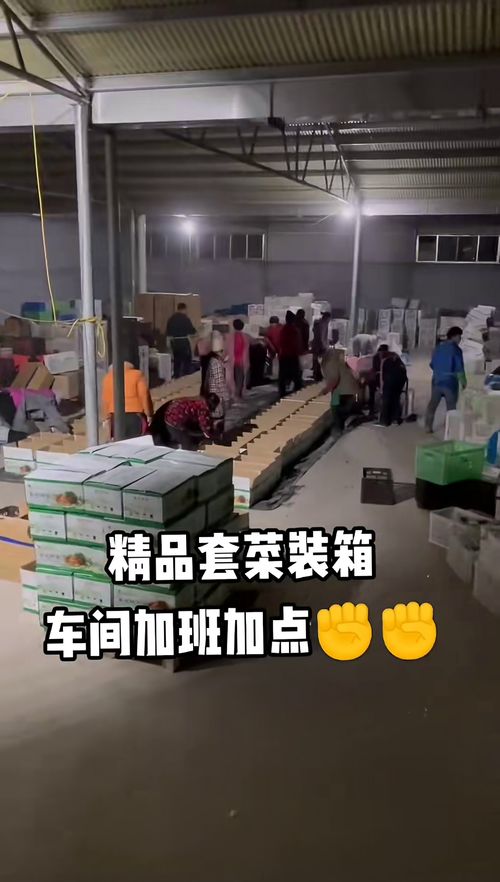 全國無縫隙發(fā)貨,精品套菜裝箱